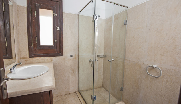 Pflege der Duschkabine