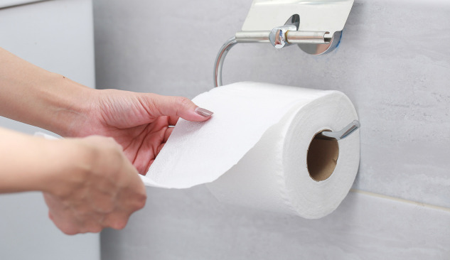 Toilettenpapierhalter als Ergänzung der Einrichtung