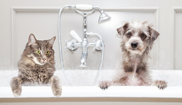 Auswahl einer Wannen- und Duscharmatur - wo beginnen?