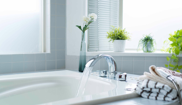 Worauf sollte man beim Kauf einer Badewanne achten?