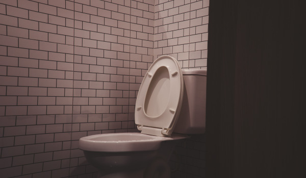 Wie kauft man einen guten Toilettensitz?