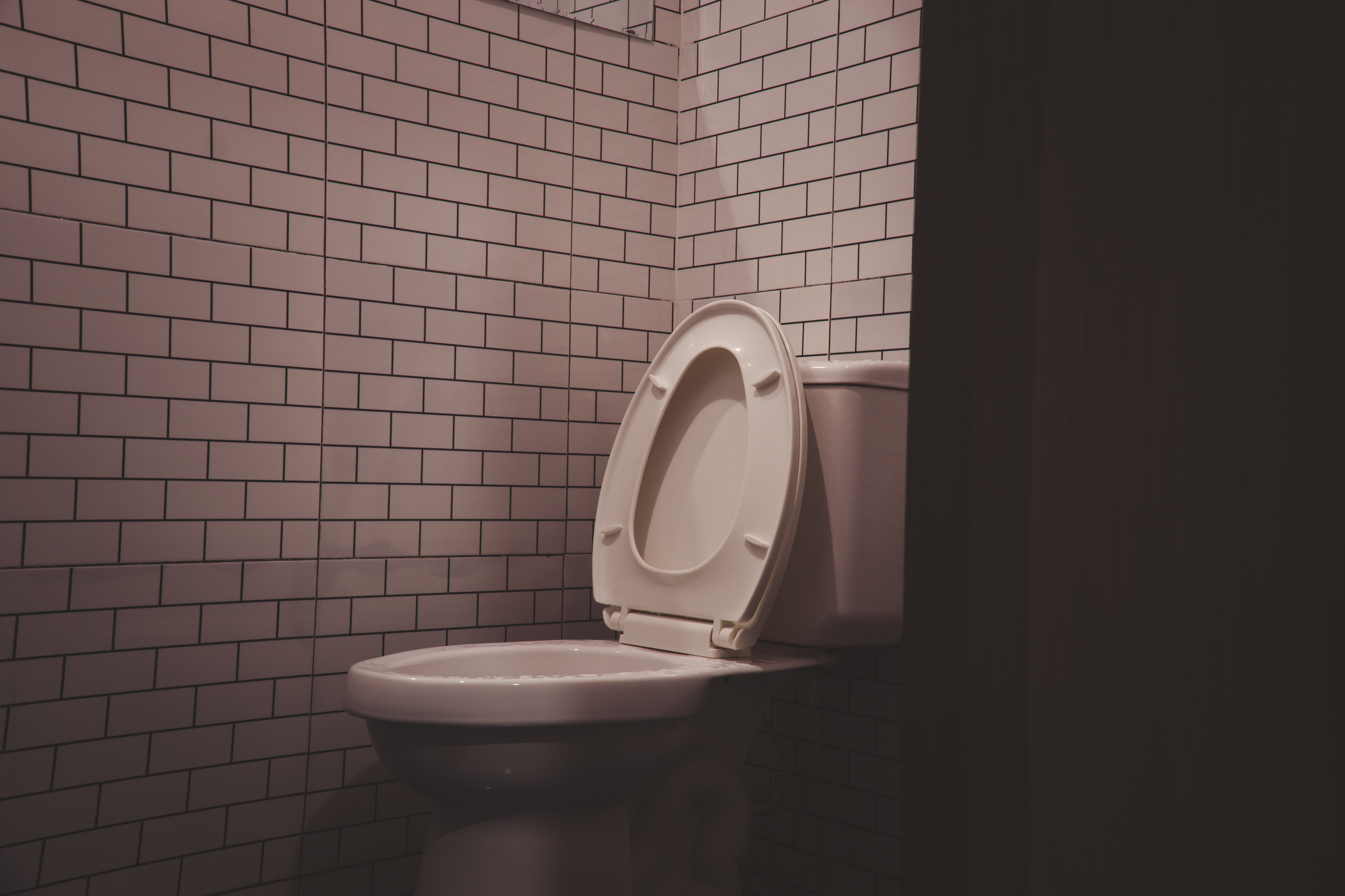 Wie kauft man einen guten Toilettensitz?