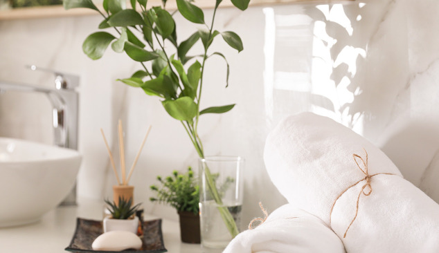 Welche Pflanzen kann man im Badezimmer platzieren?
