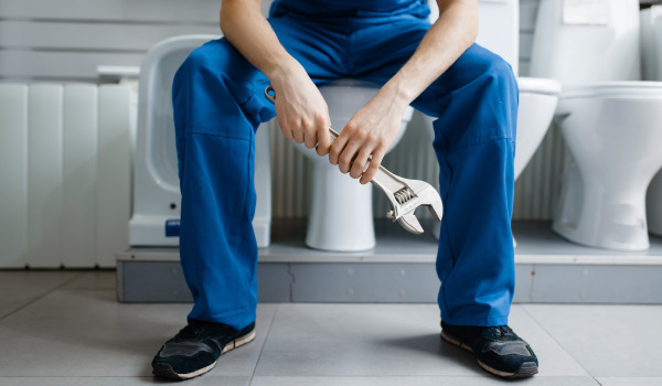 Wie montiert man einen Toilettensitz?