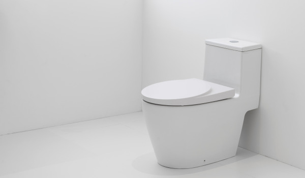 Wie passt man eine WC-Schüssel in die Gestaltung an?