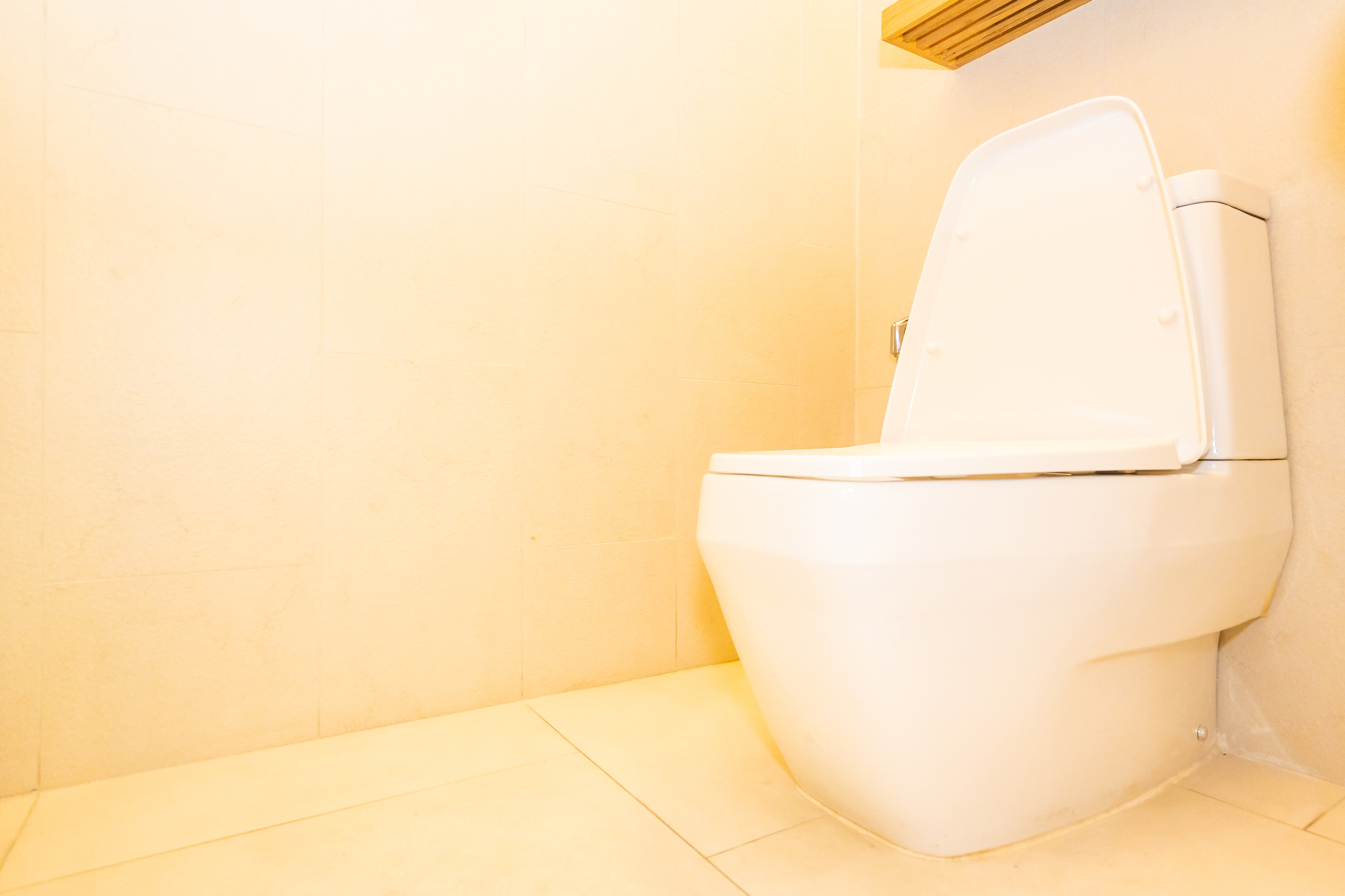 Welches Unterputz-Set für das WC wählen?