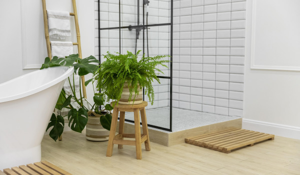 5 beste Blumen für das Badezimmer
