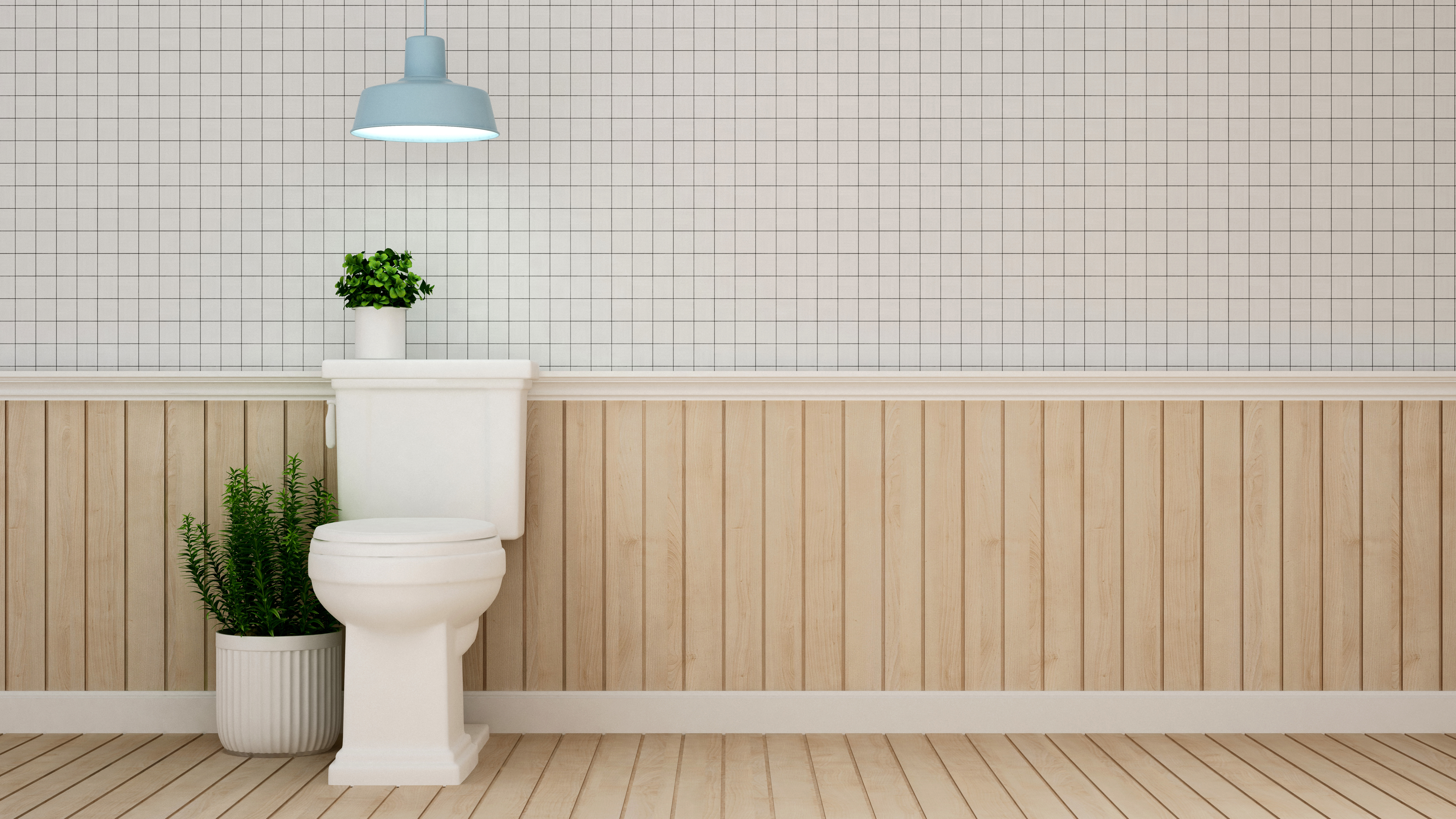 Wie funktioniert eine WC-Spülung?