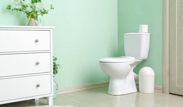 WC-Schüssel mit Schutzbeschichtung oder nicht?