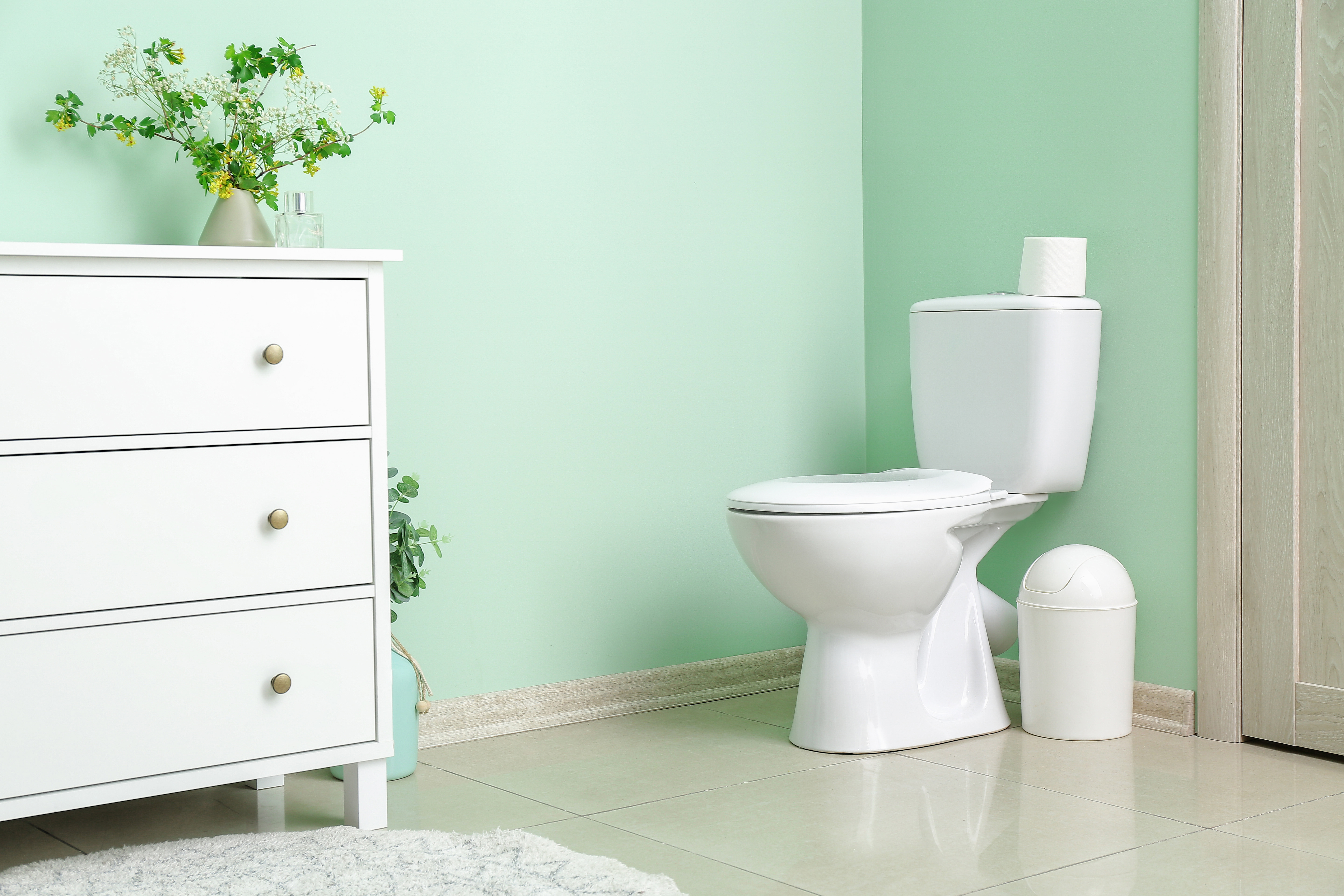WC-Schüssel mit Schutzbeschichtung oder nicht?
